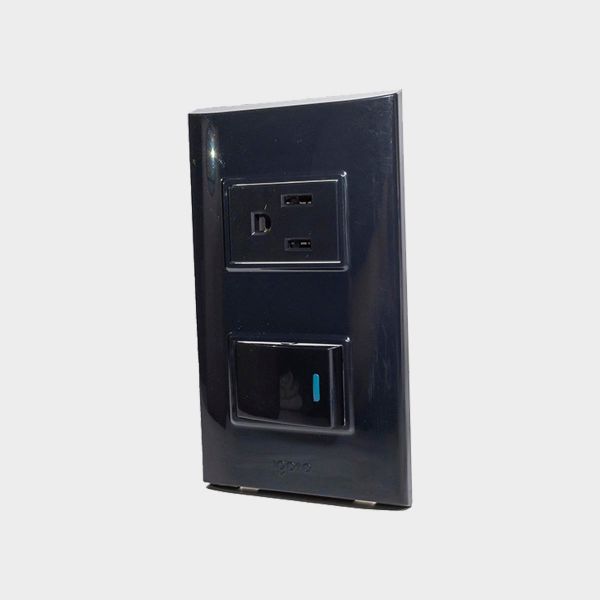 Imagen de INTERRUPTOR+TOMA C/TIERRA NEGRO-B IGOTO