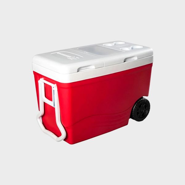 Imagen de CAVA DECOCAR ICE ROLLER 55 LTS STAND