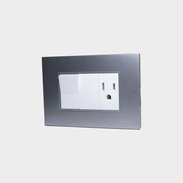 Imagen de INTERRUPTOR+TOMA C/TIERRA PLATA-Z IGOTO