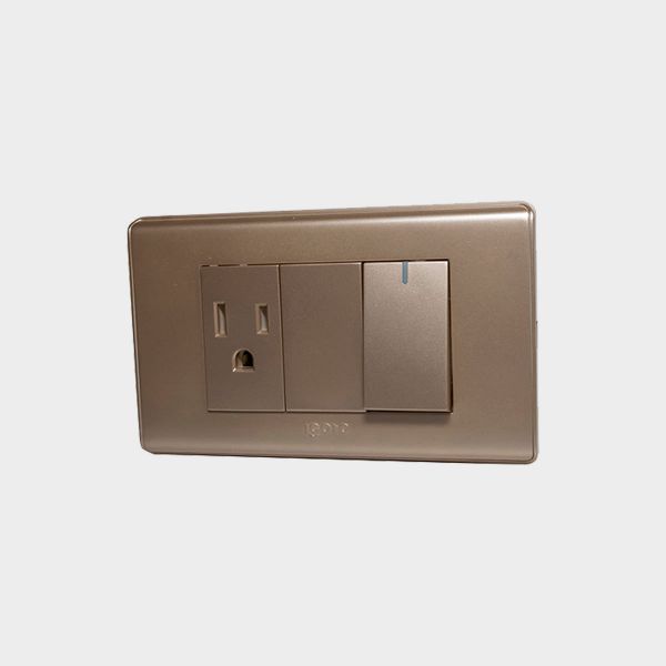Imagen de INTERRUPTOR+TOMA C/TIERRA ORO-A IGOTO